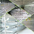 China supplier chicken prefabricated house prices